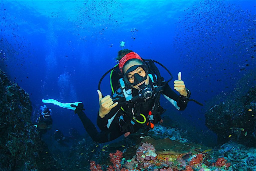 Best PADI Divemaster Courses in the World