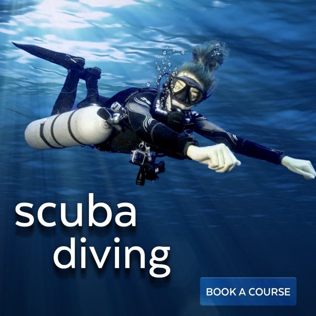 book a padi diving course in thailand