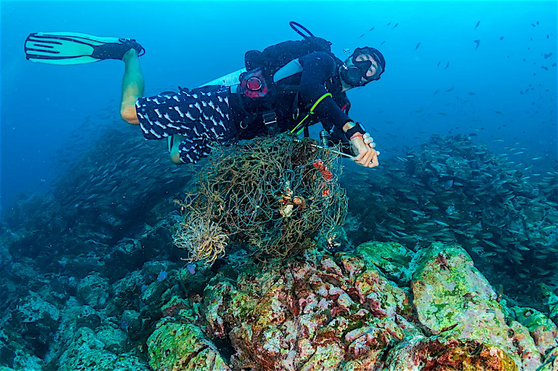 Dive Against Debris Specialty Course Koh Tao Thailand