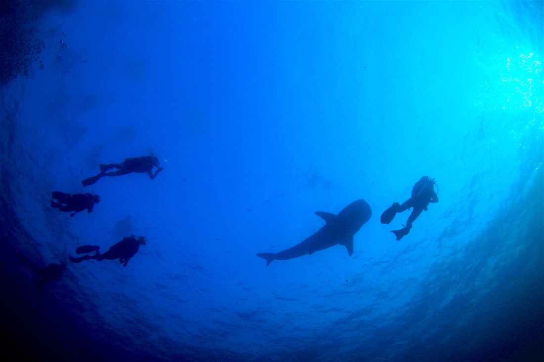 PADI Deep Diver Specialty Koh Tao