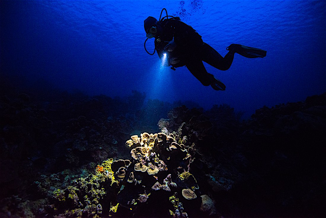 PADI Night Diver Specialty course Koh Tao