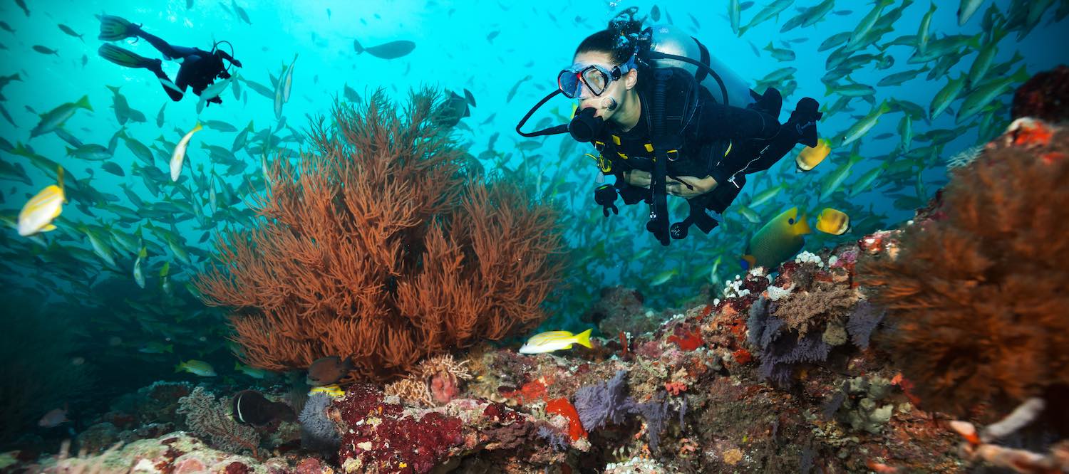 padi open water course koh tao