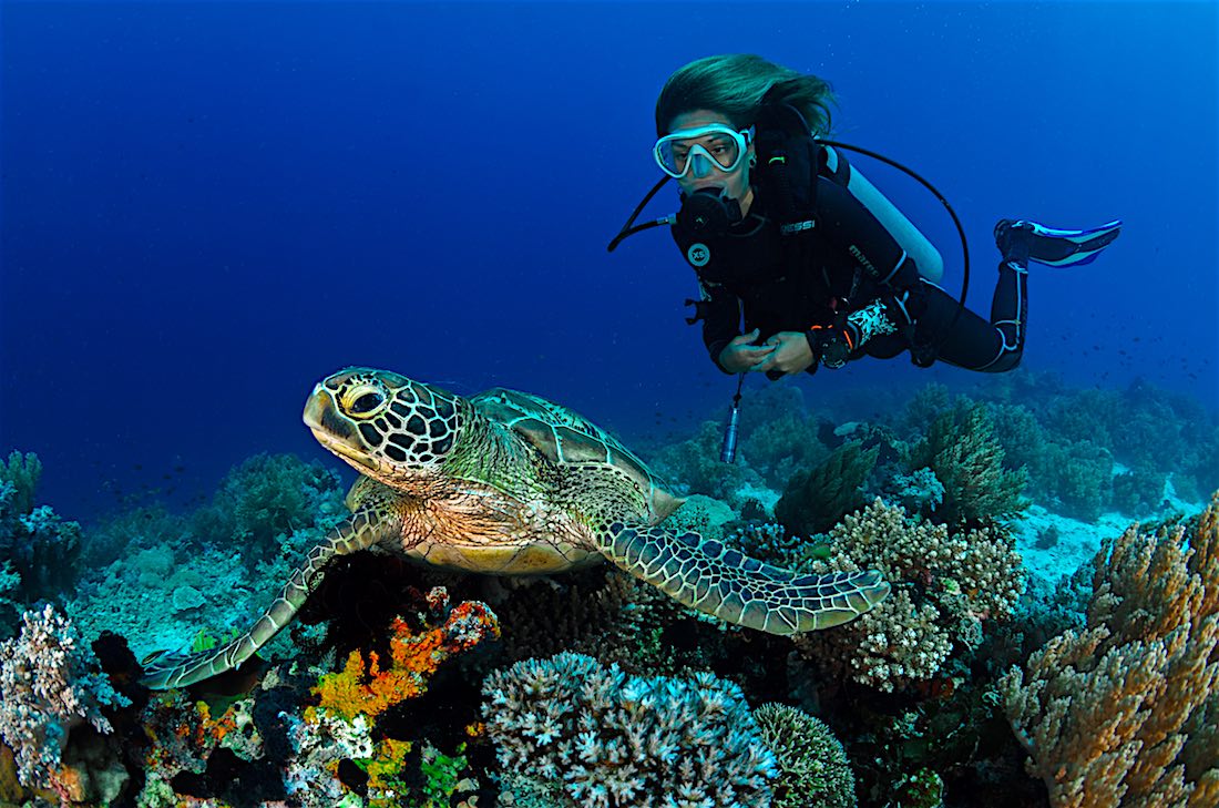 PADI Peak Performance Specialty course Koh Tao