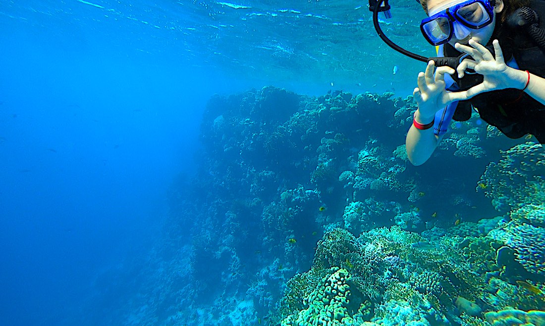 Scuba Diving for Kids & Family Koh Tao