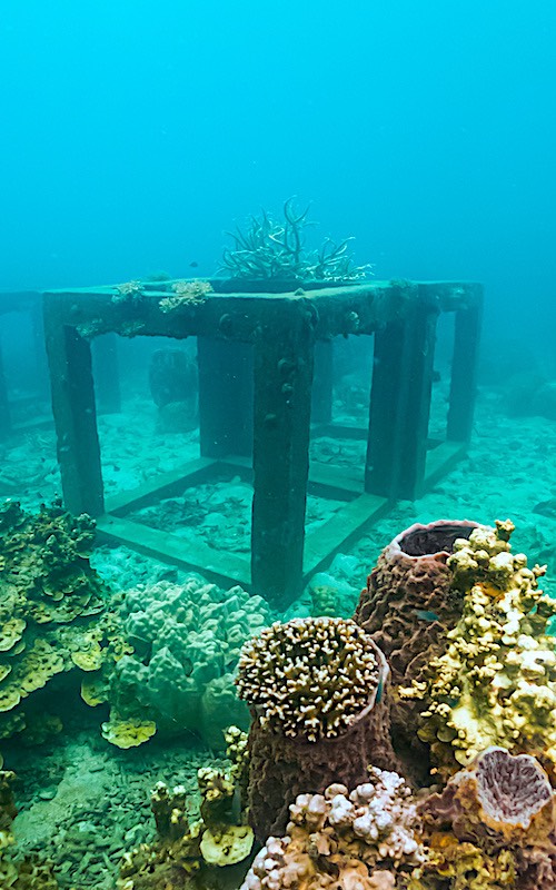 Artificial Dive Sites on Koh Tao