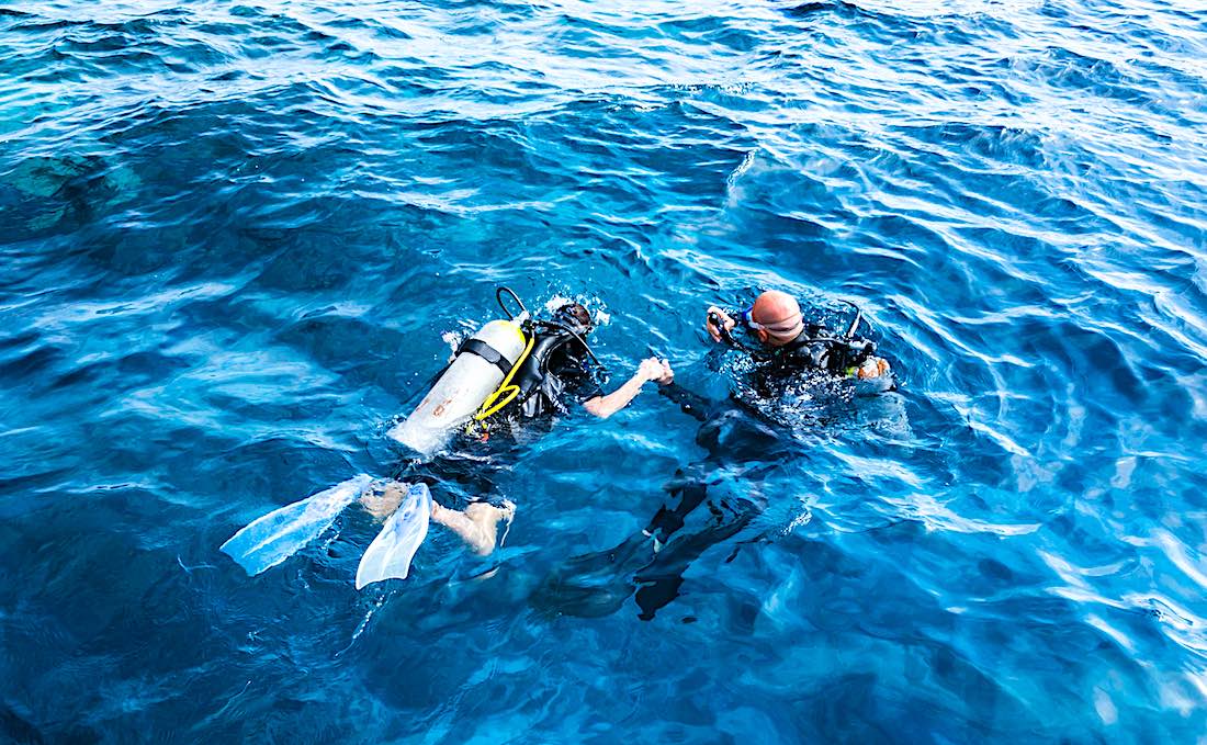 Discover Marine Life on Koh Tao - PADI Diving Experience