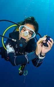 Divemaster Internships Koh Tao