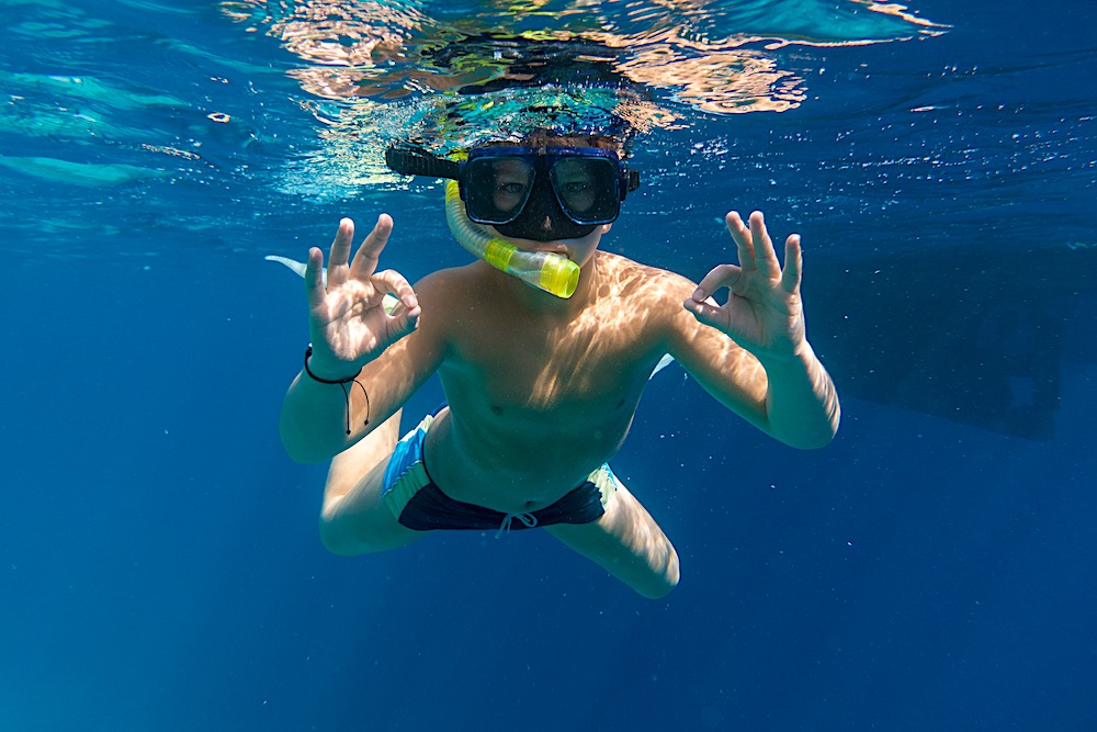 Snorkel Koh Tao - Discover Marine Life