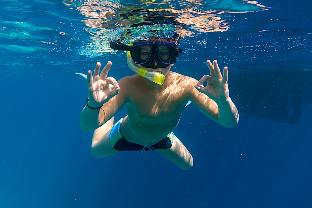 Snorkel Koh Tao - Discover Marine Life