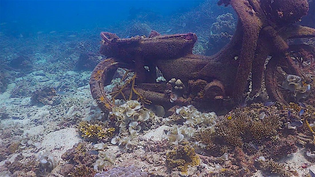 Tanote Bay Dive Site on Koh Tao - Scooter