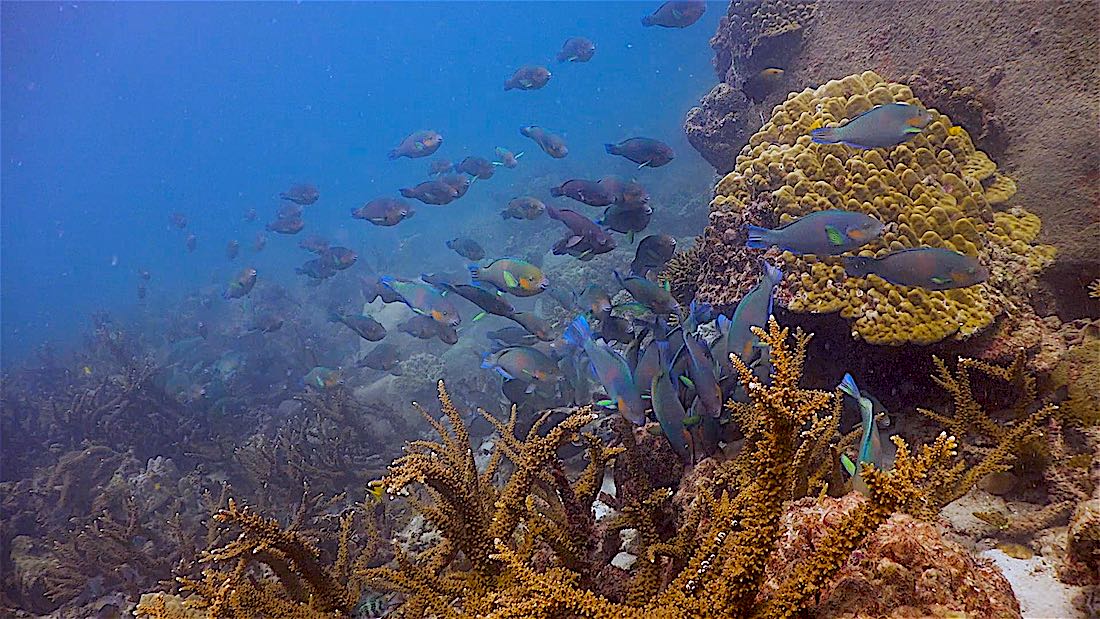 Aow Leuk Dive Site