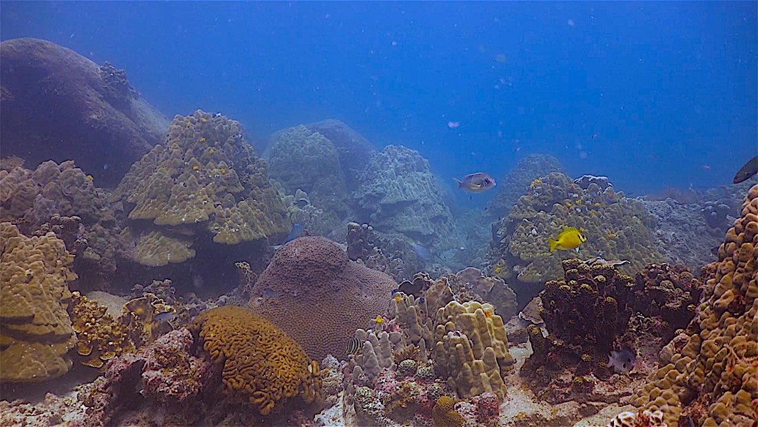 Aow Leuk Dive Site Koh Tao