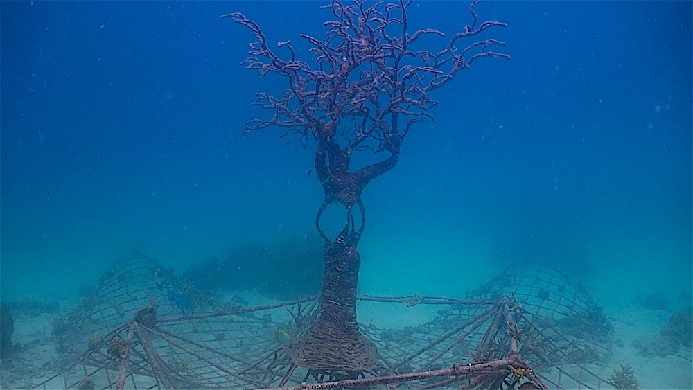 Aow Leuk Dive Site - Artificial Dive Site Area