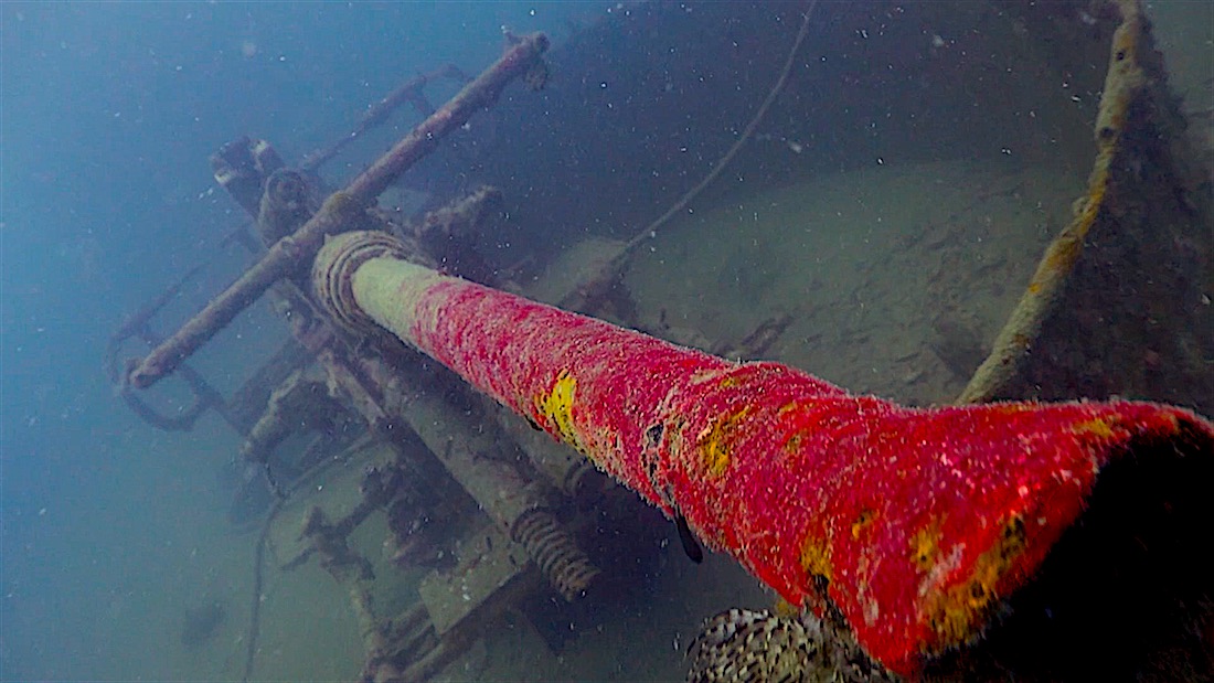 HTMS Sattakut Wreck - Cannon