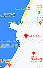 Google map location for Black Turtle Dive Koh Tao