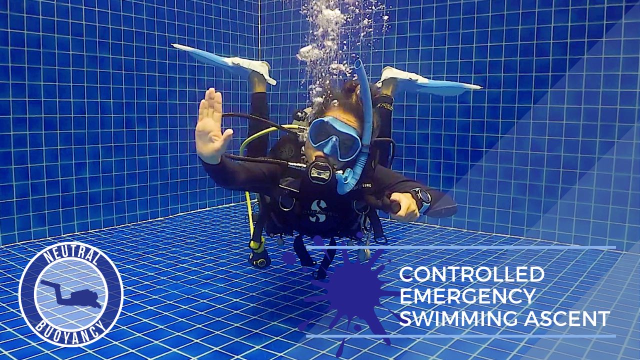 Neutral Buoyancy Skills Koh Tao - Susanne Baumeyer