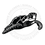 black turtle dive koh tao logo