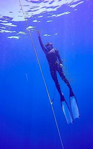 Best PADI Freediving Courses Koh Tao