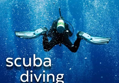 padi pro level diving courses on koh tao in thailand