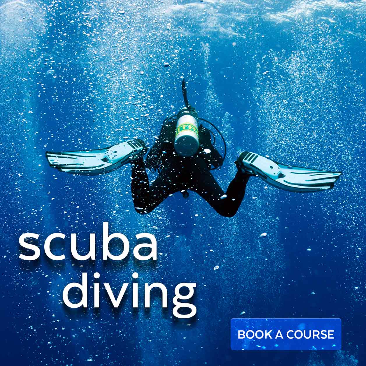 padi pro level diving courses on koh tao in thailand