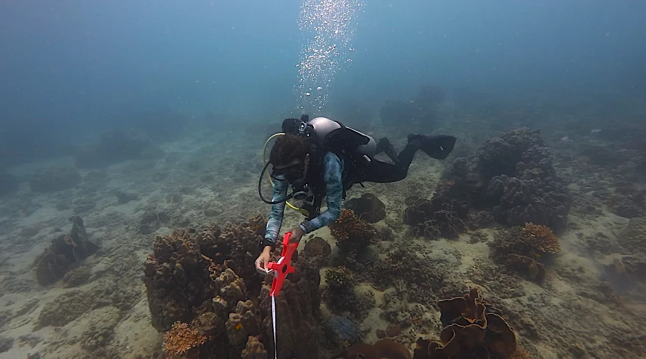 Laying out a Transect Line