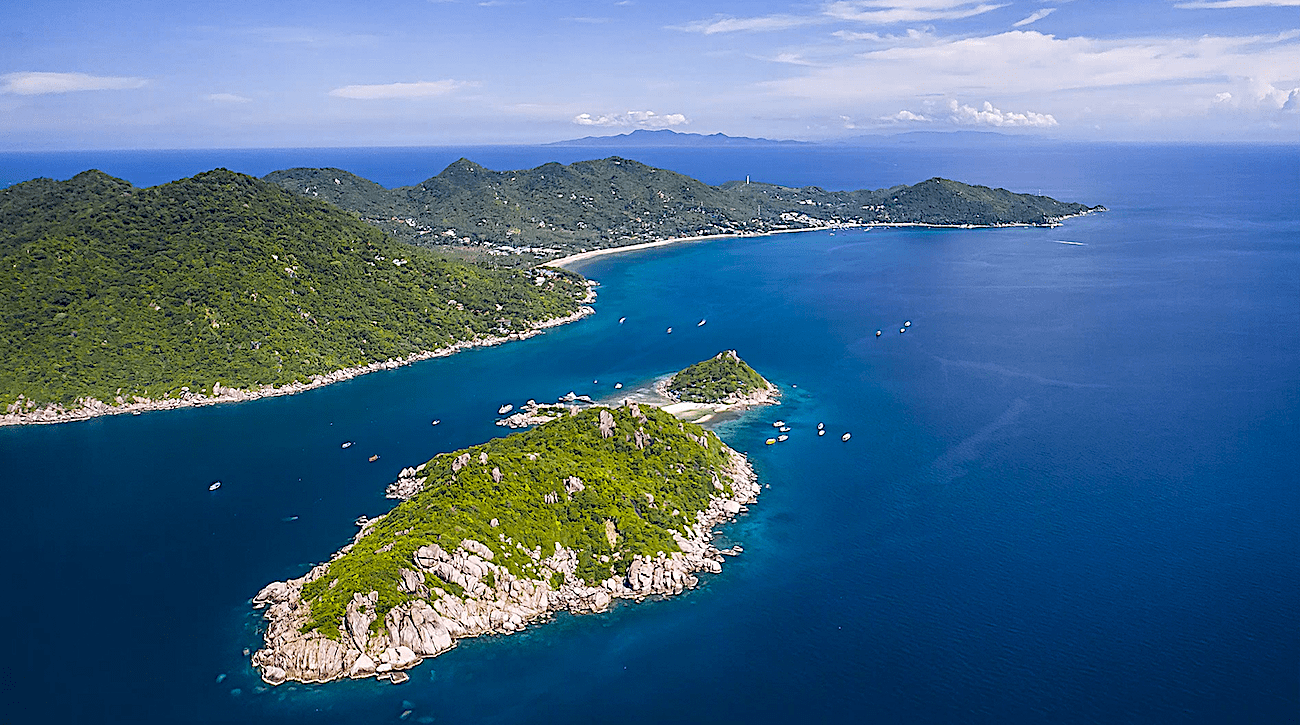 Marine Conservation Diver Training on Koh Tao