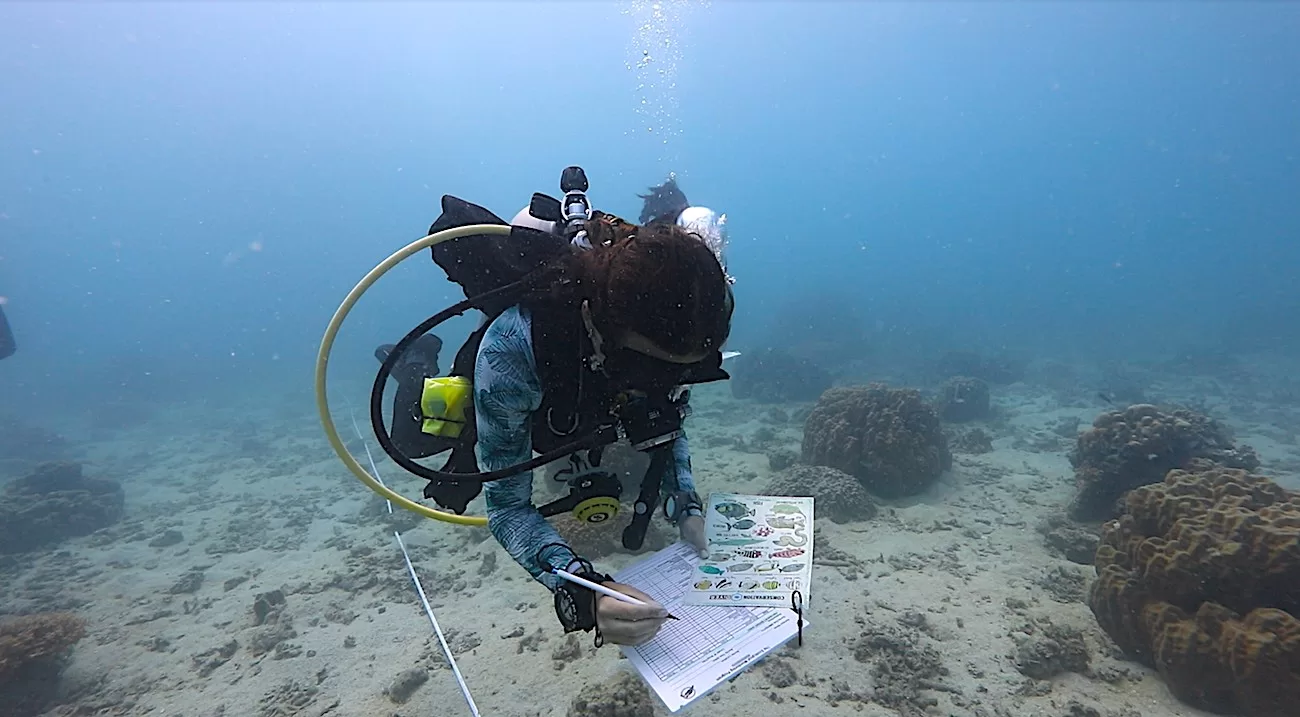 Learn to Become a Ecological Monitoring Program Diver in Thailand