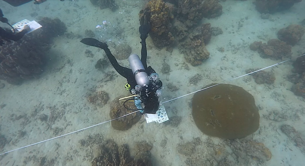 Conducting EMP Surveys around Koh Tao