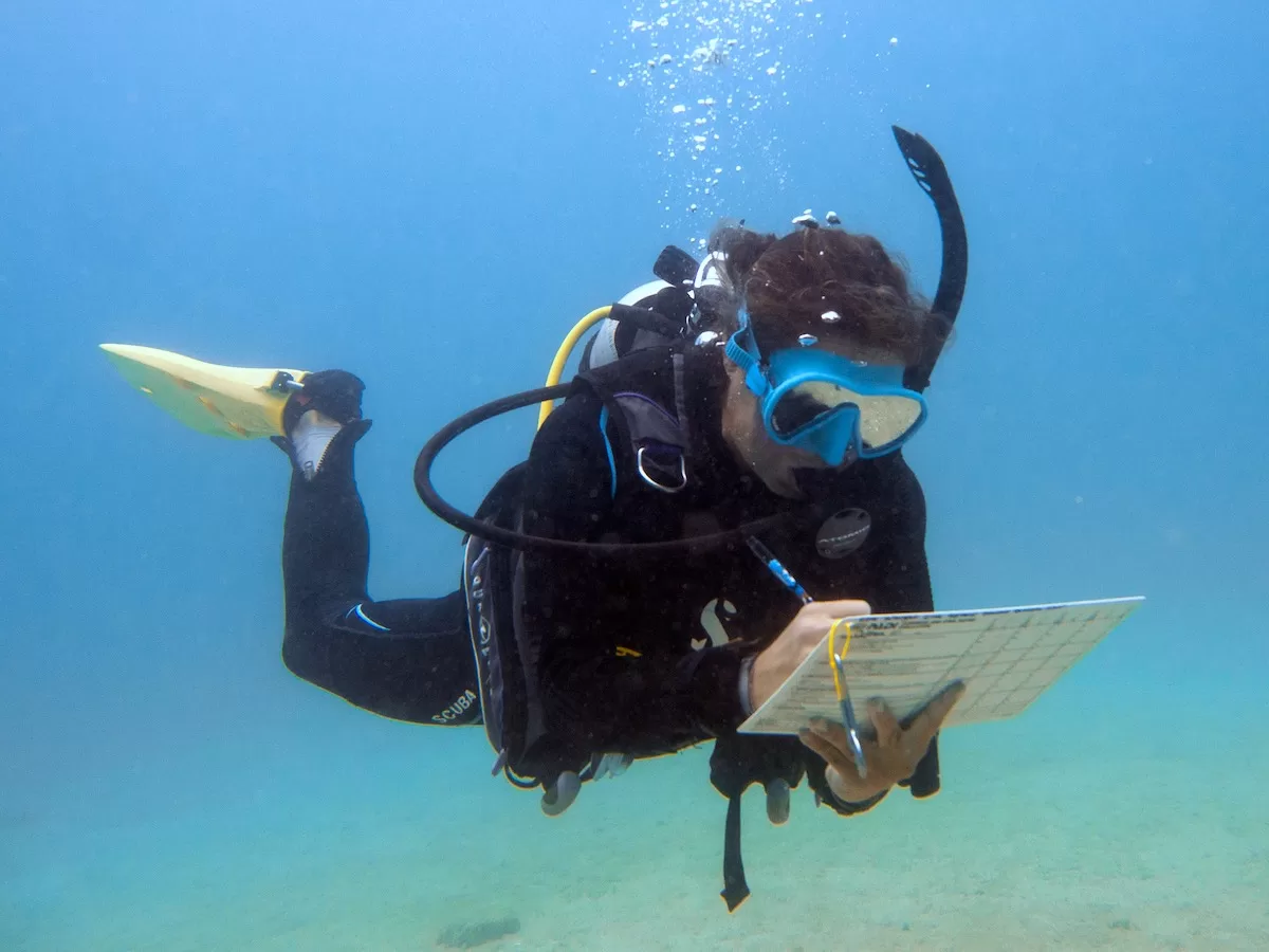 PADI Diving Instructor course in Thailand - IDC Staff Instructor Evaluating Candidates