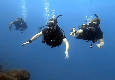 best fun diving in thailand