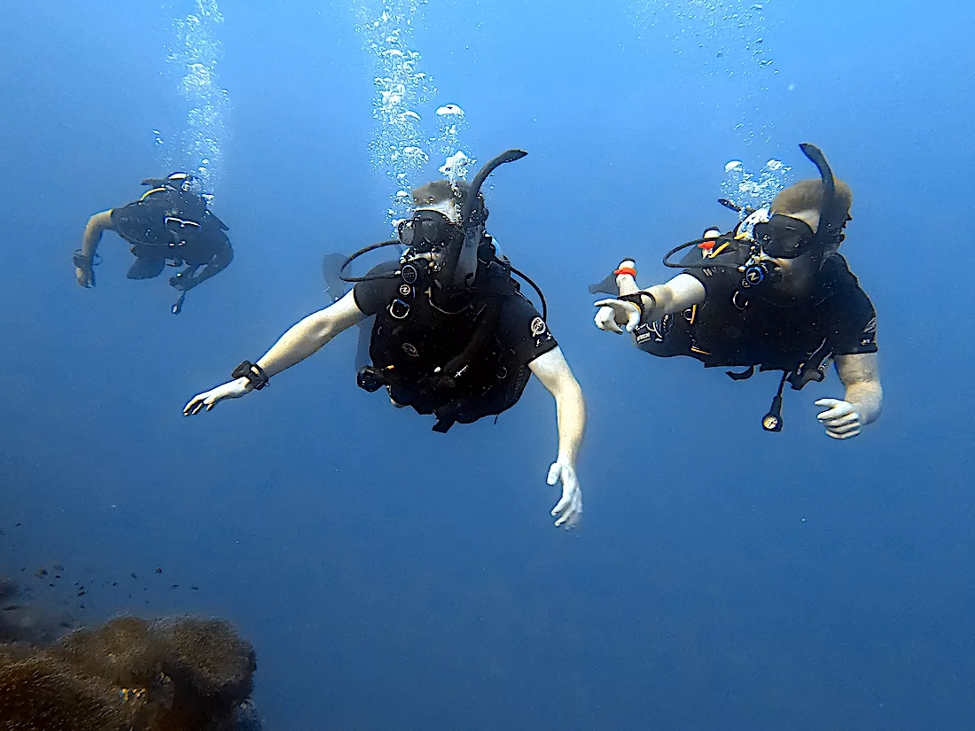 best fun diving in thailand