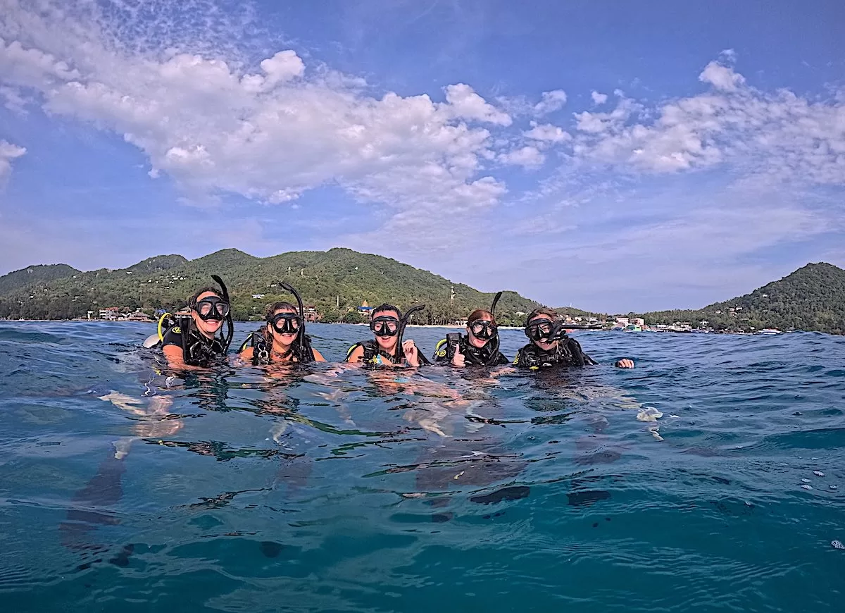 Groups of Fun Divers in the Water - Koh Tao