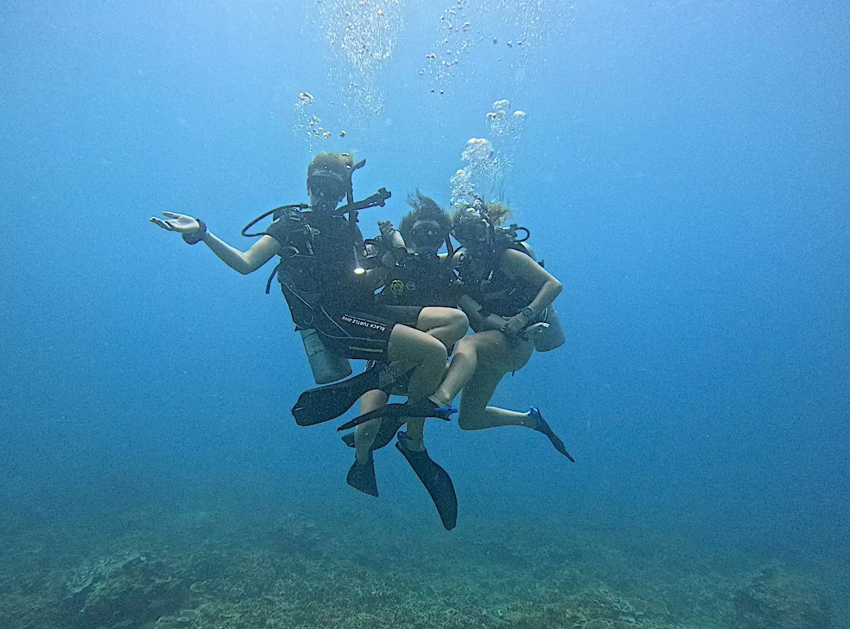 Best Fun Diver Trips in Koh Tao - Thailand