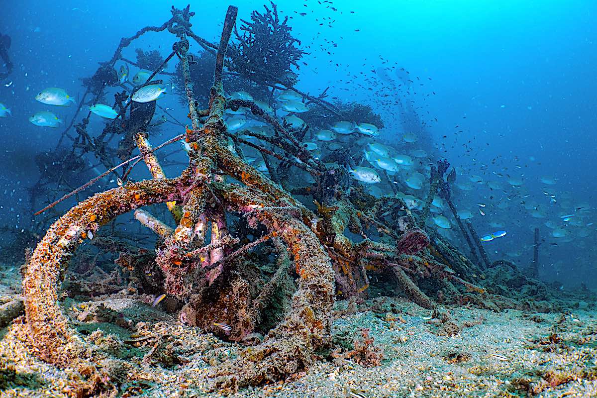 Coral Restoration Theory & Techniques course on Koh Tao