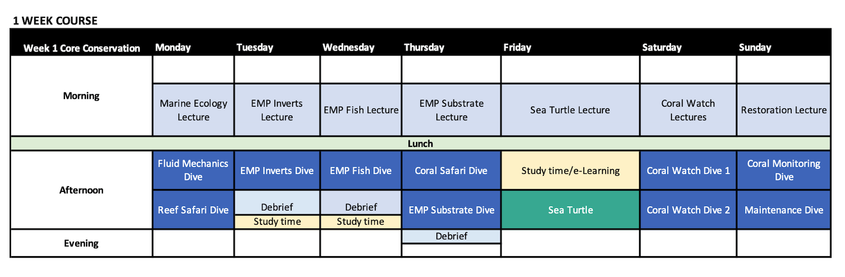 7 Day Core Conservationist Schedule at Black Turtle Dive