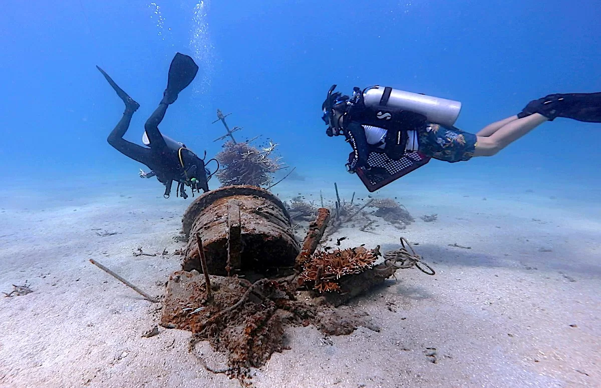 Marine Conservation Internships - Junkyard Reef Artificial Structures