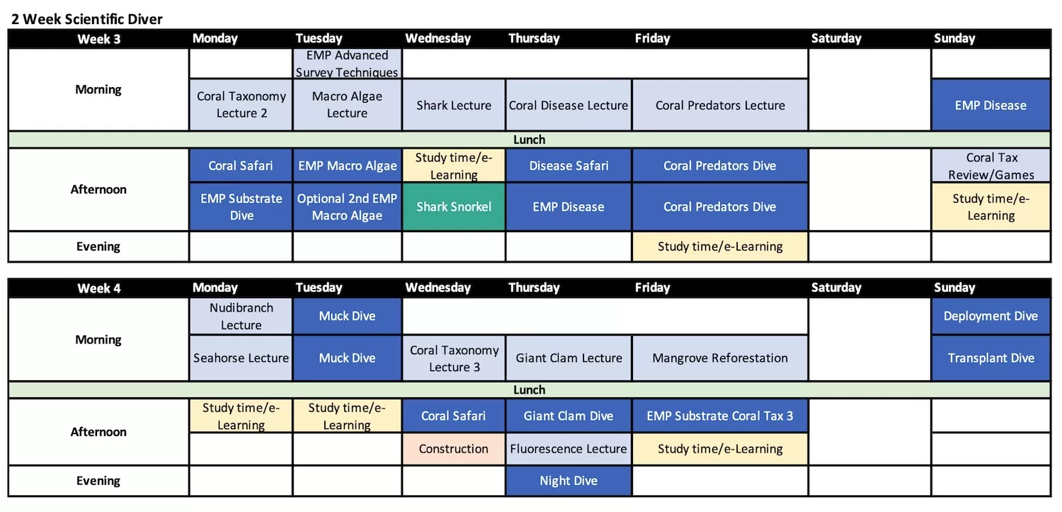 14 Day Scientific Diver Internship Schedule at Black Turtle Dive