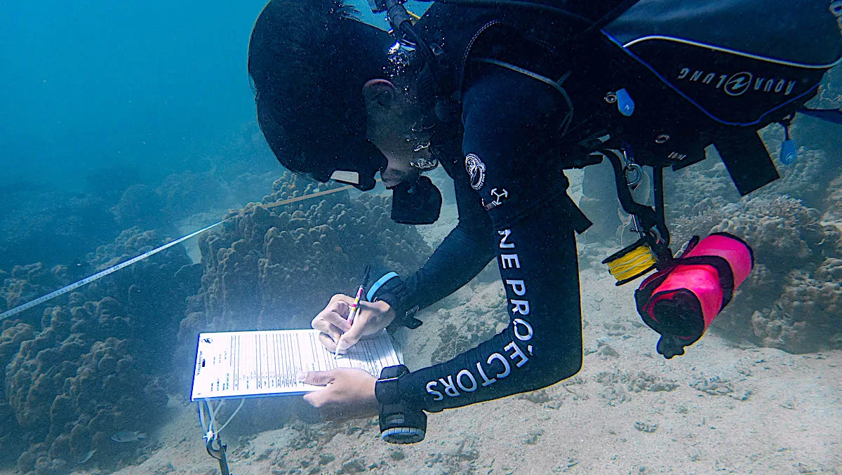 Marine Conservation Internships - Ecological Monitoring Surveys in Thailand