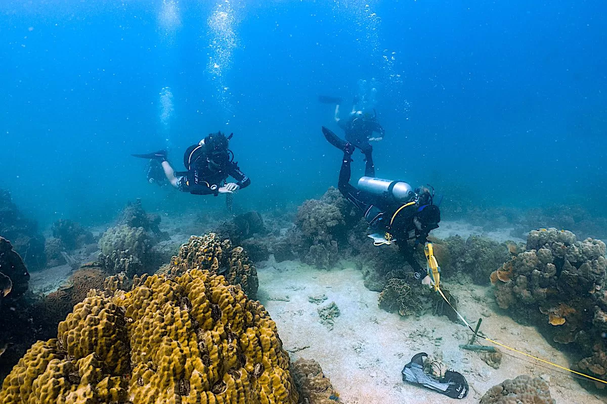 Marine Conservation Internships - Threats to Coral Reefs