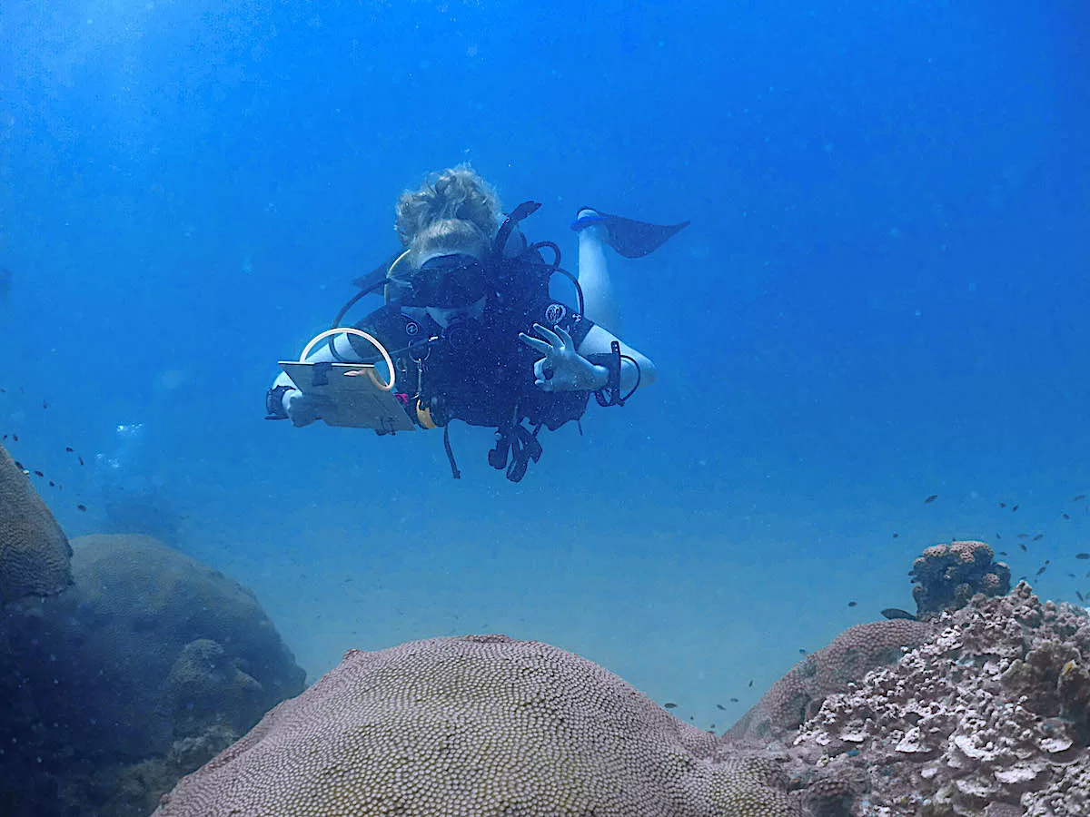 Marine Conservation Internships - Monitor the Health of Coral Reefs