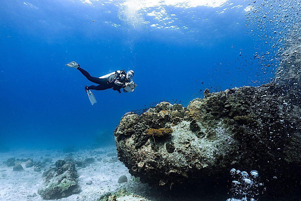 Marine Conservation Internships - Monitor the Coral Reefs on Koh Tao