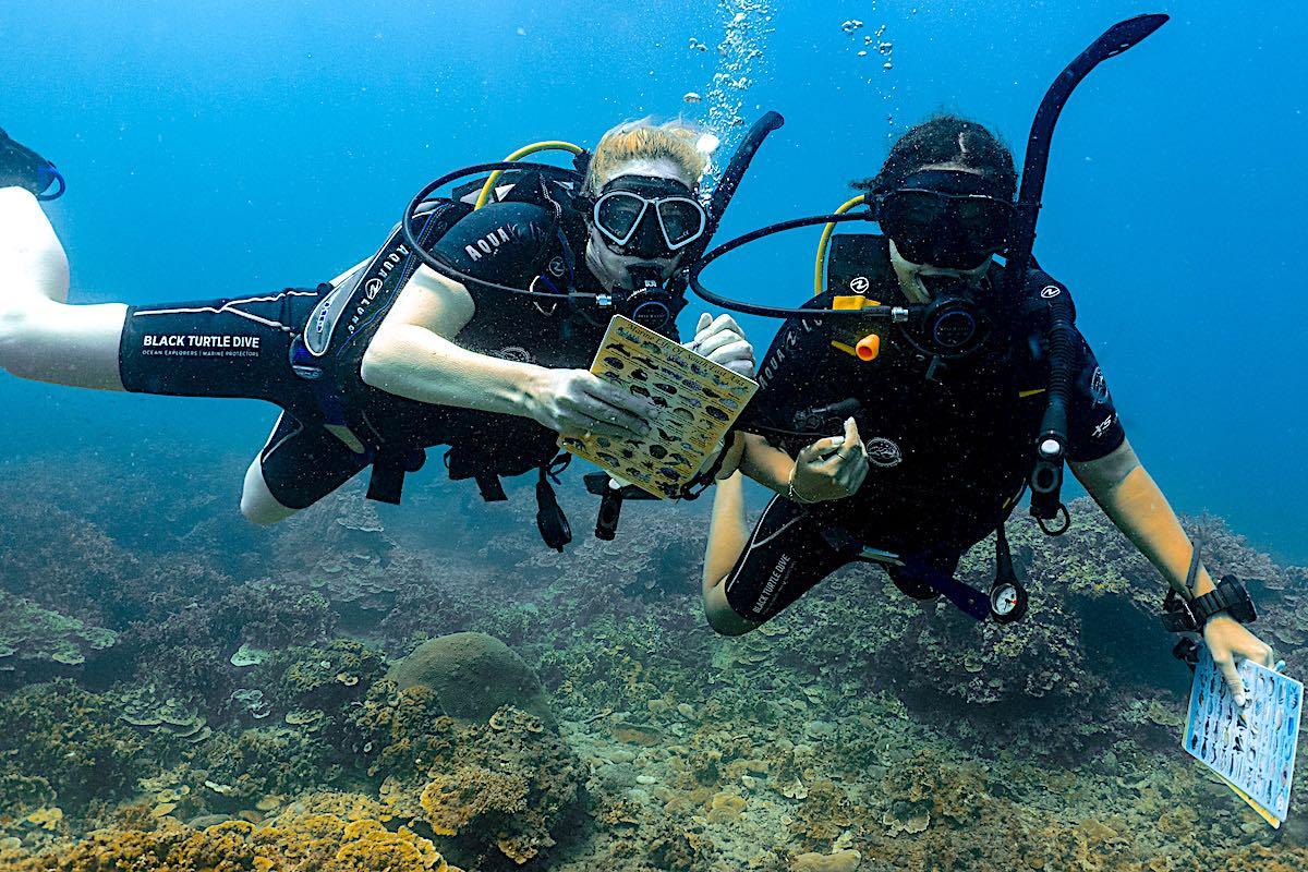 Marine Conservation Internships - Students Learning about Marine Life Indicator Species