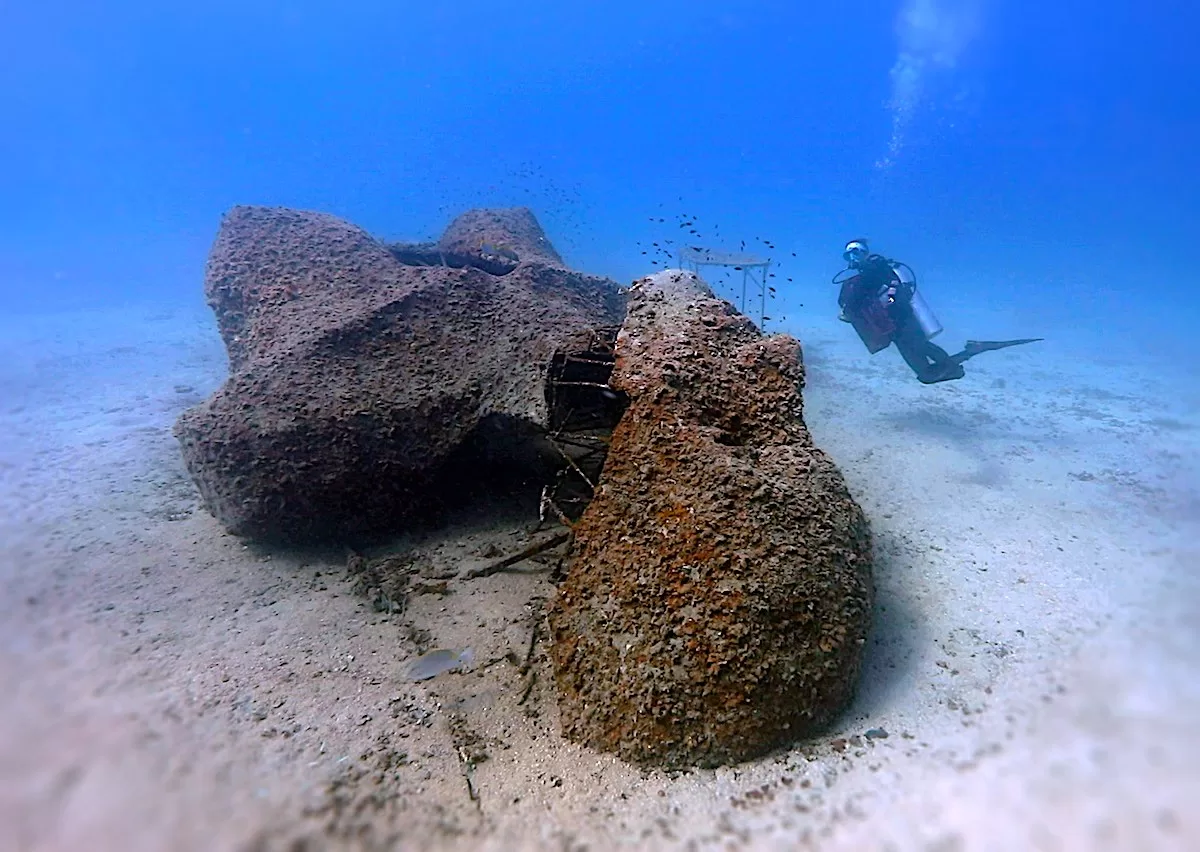 Marine Conservation Internships - Artificial Structures at Junkyard Reef