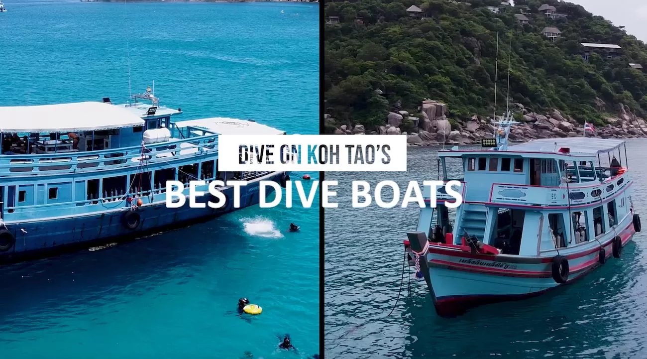 Best Fun Diving Dive Boats on Koh Tao