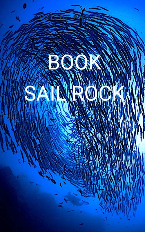 Sail Rock dive trips on koh tao