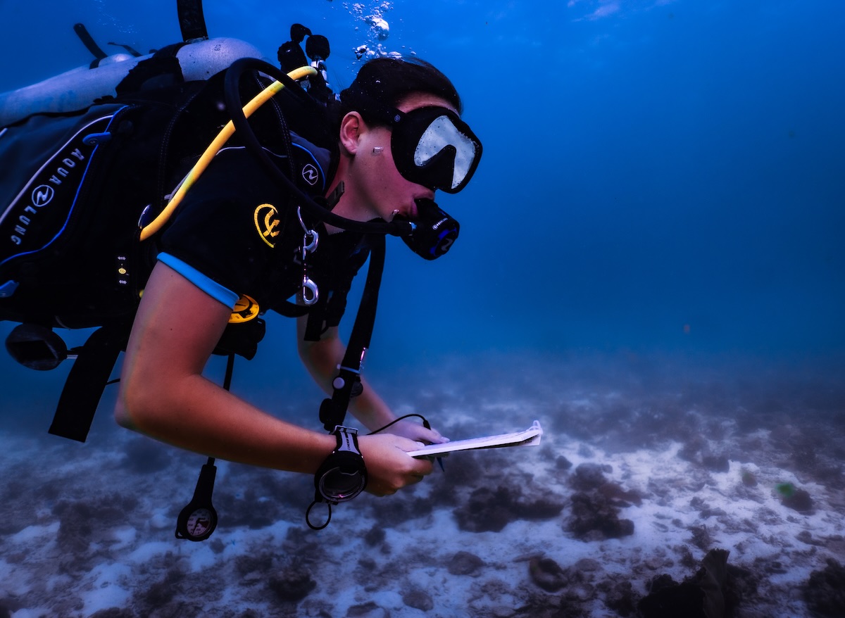 Conservation Specialist Program on Koh Tao