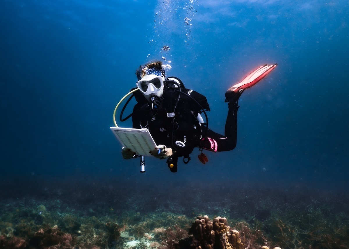 Become a Conservation Specialist Diver