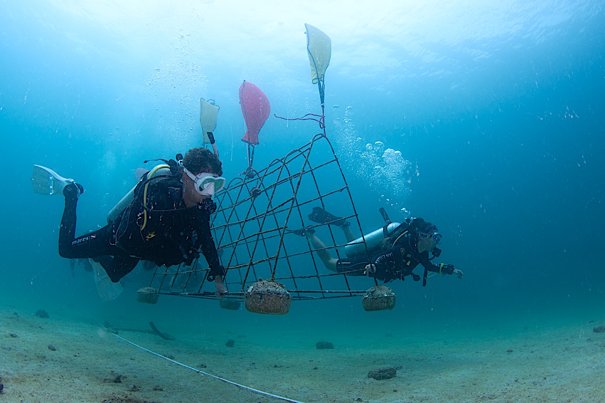 Divemaster Candidates Assisting Conservation Team