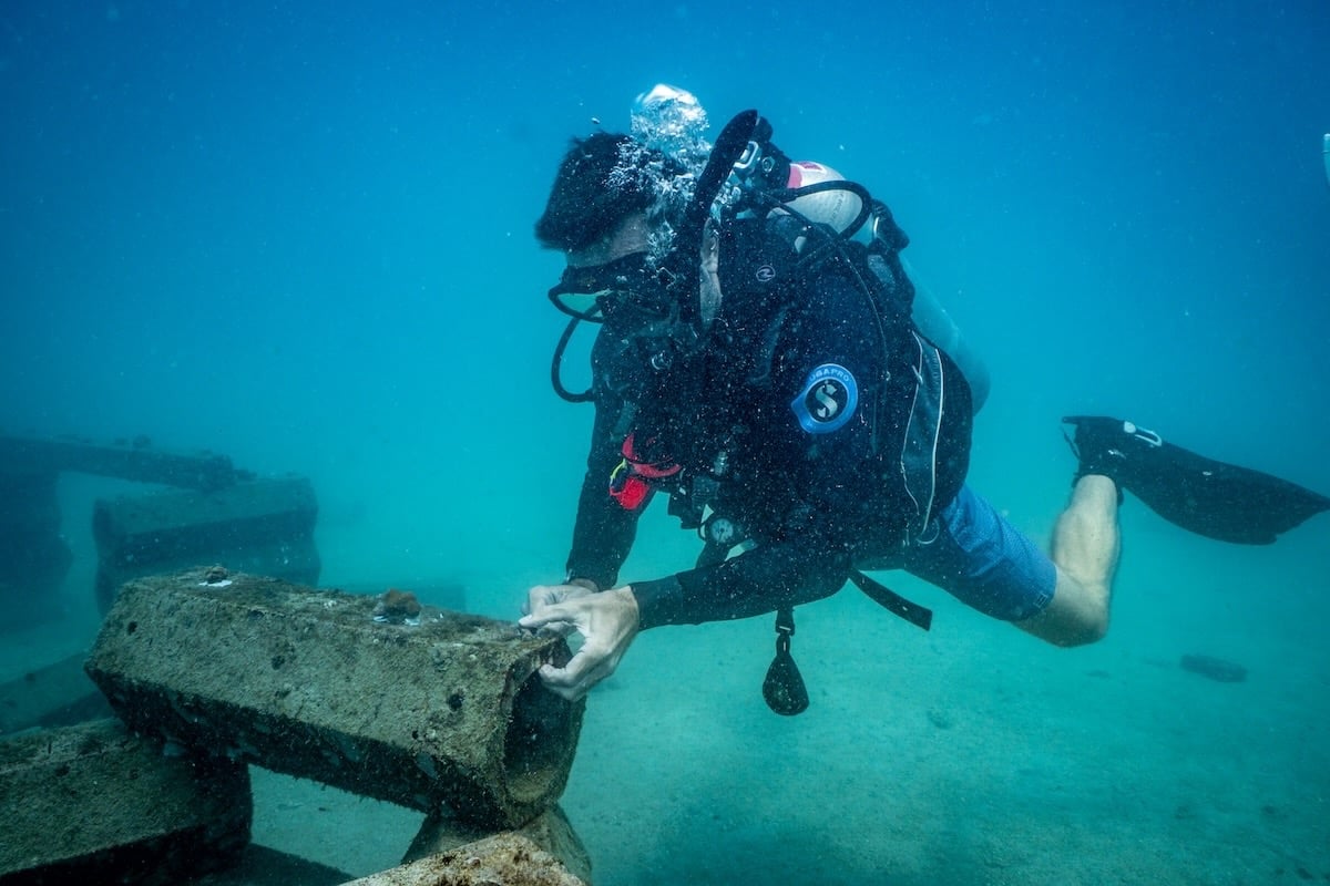 Korallenriff Conservation Divemaster Programm in Thailand