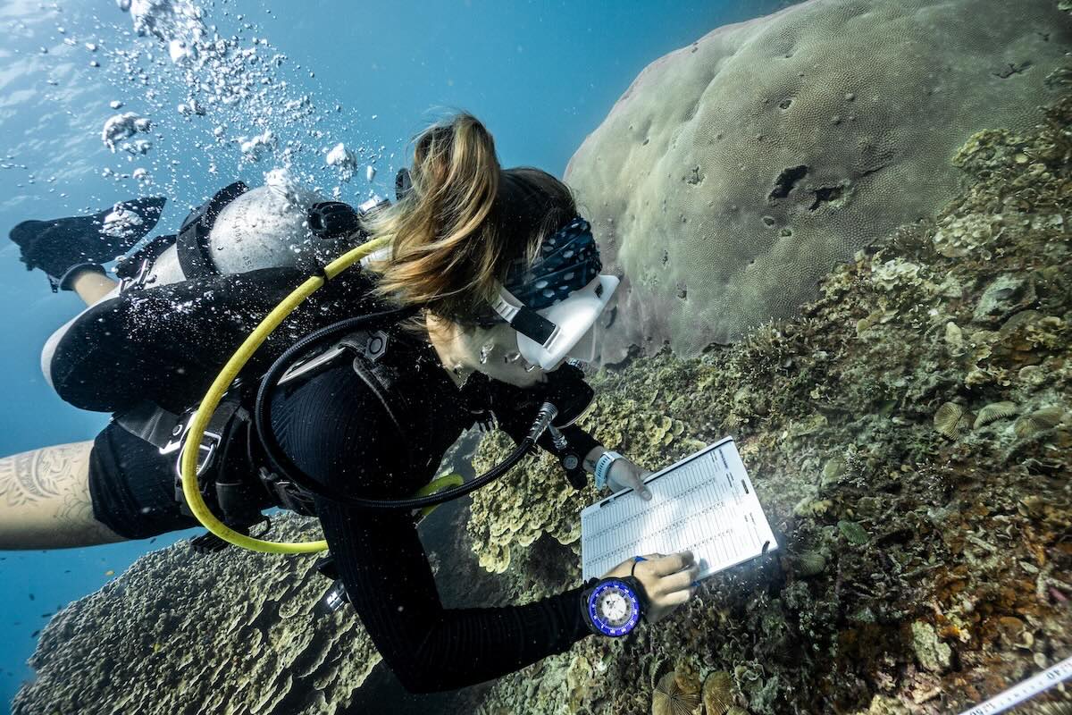 Öko Conservation Divemaster Programm